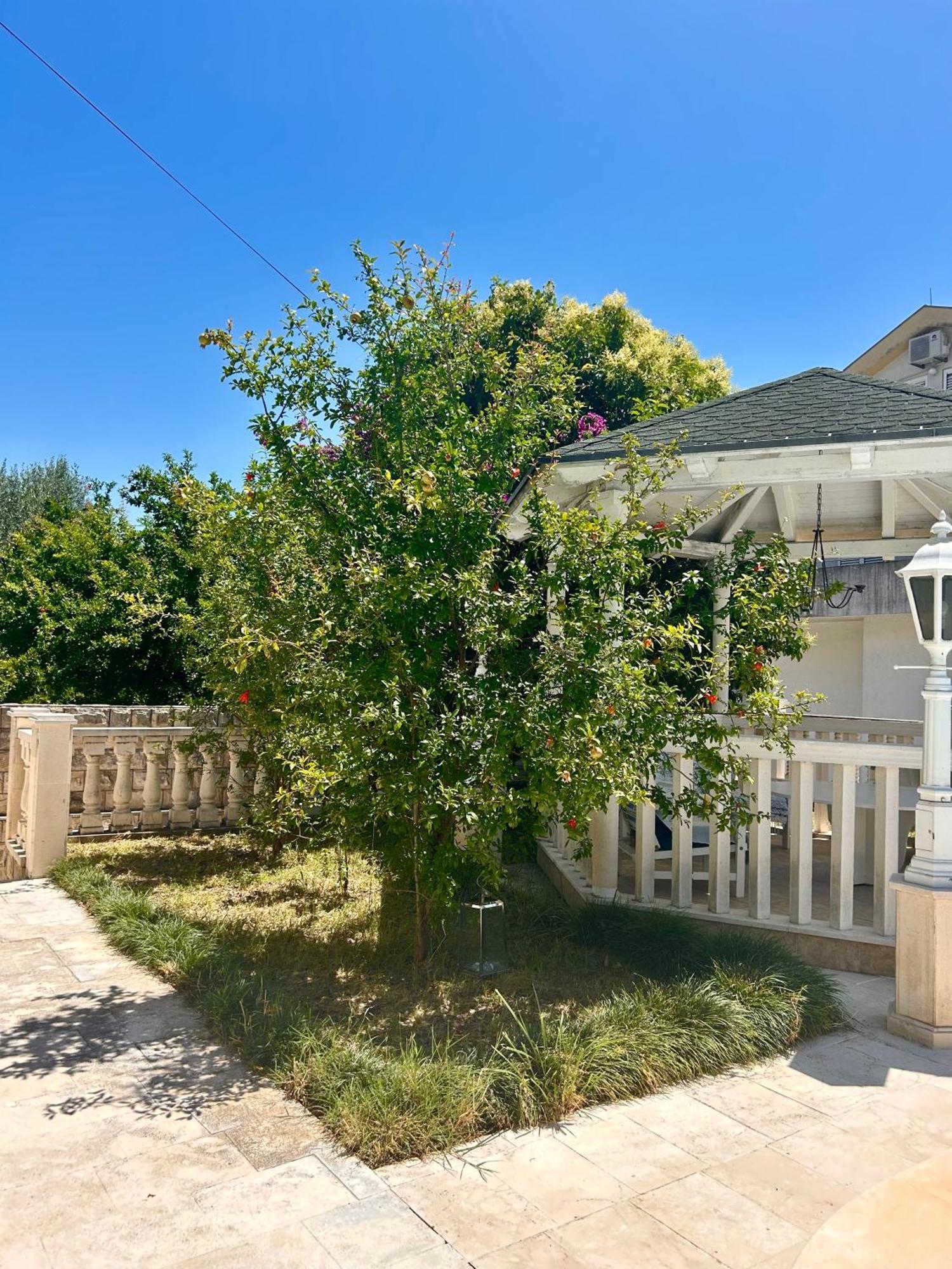 Guest House Vila Eli تْشيرسيك نوفي المظهر الخارجي الصورة